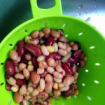 mixed beans in a colander