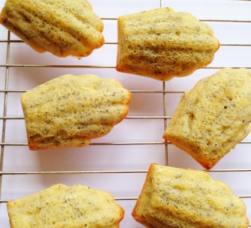 French Madeleines are easy to make