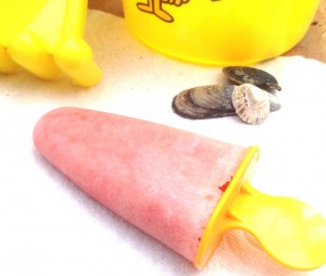 fruit smoothie lolly for kids to make
