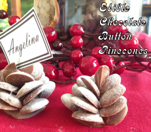 chocolate-pinecones-feature