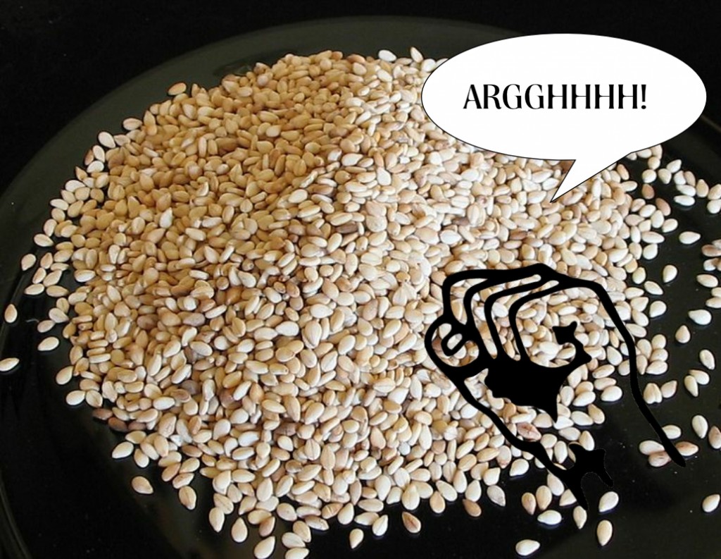 Quick and Easy Sesame SeedFree Hummus Recipe Mini Yummers